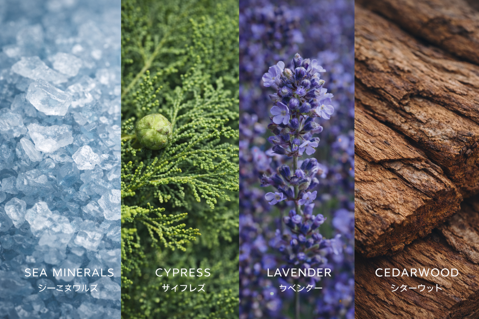 DRIFTWOOD - SIGNATURE