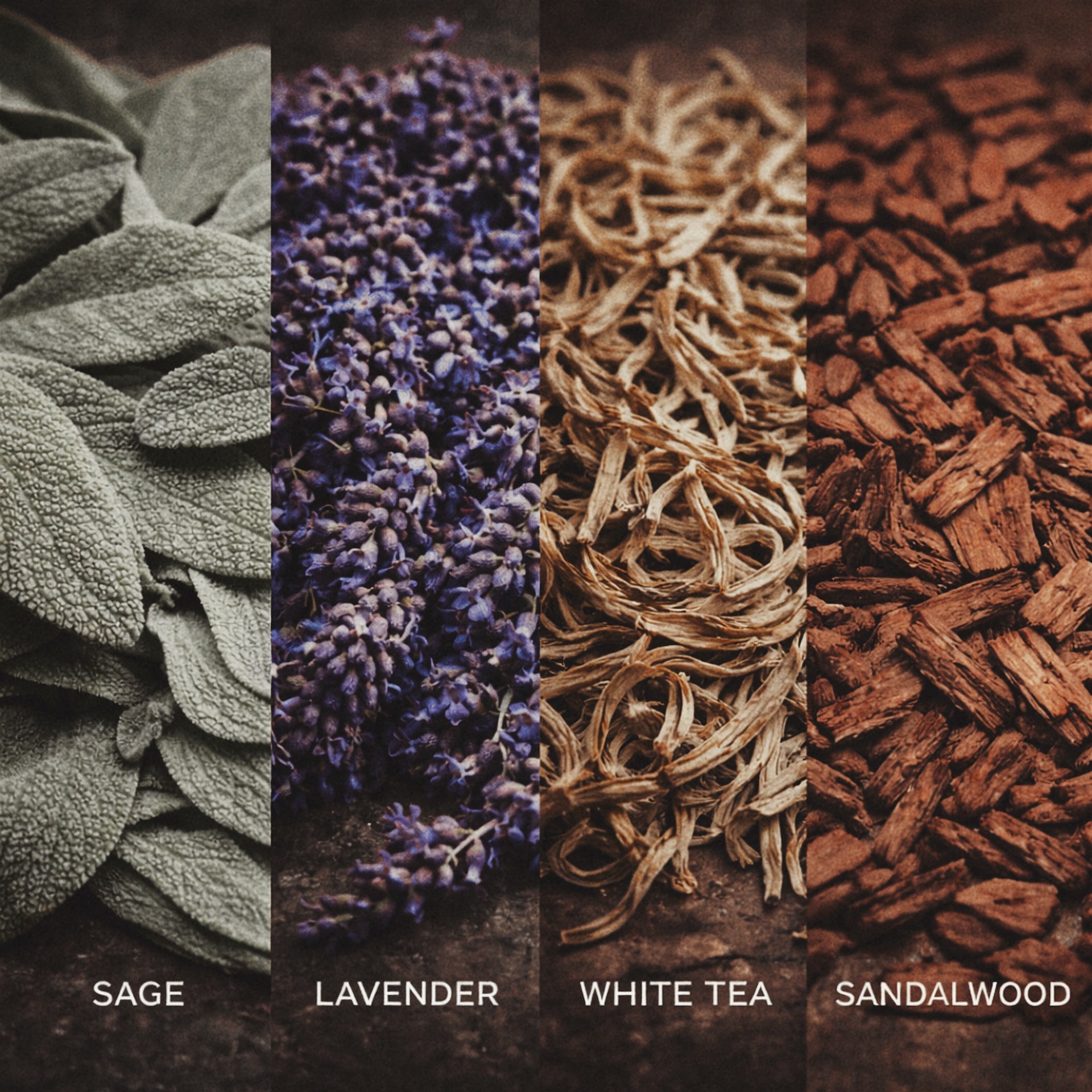 NAGOMI<br>LAVENDER & SAGE