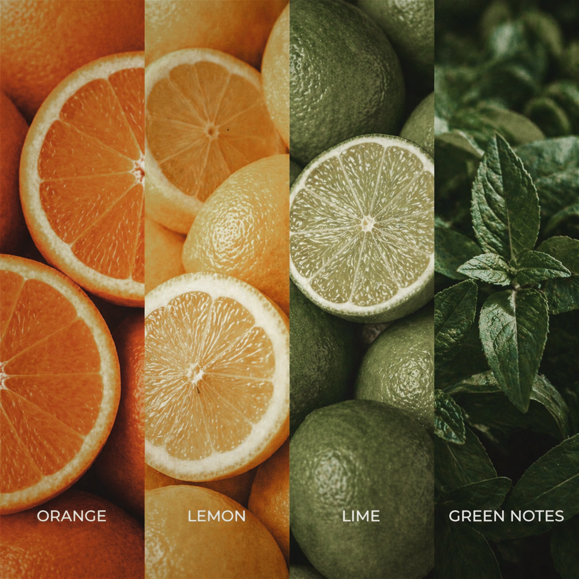 CITRUS AIR